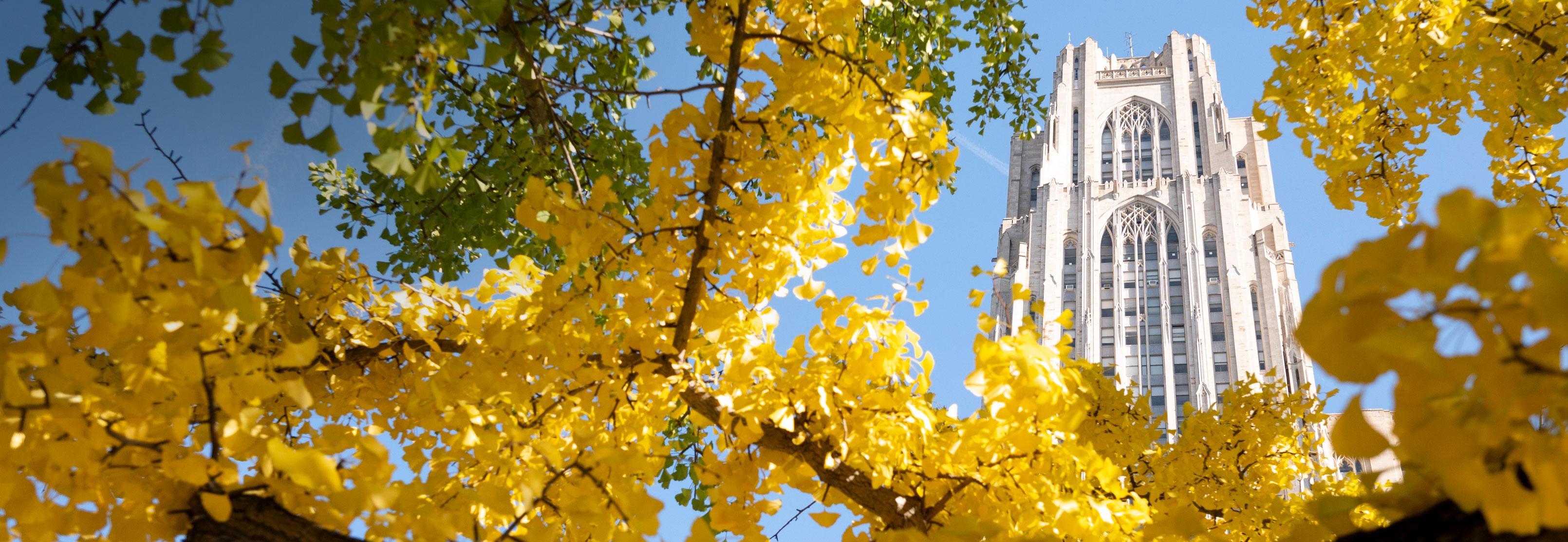 cathedral of learning